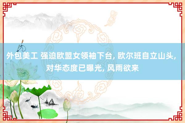 外包美工 强迫欧盟女领袖下台, 欧尔班自立山头, 对华态度已曝光, 风雨欲来