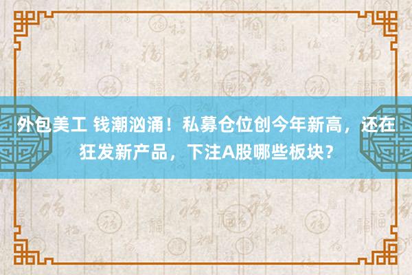 外包美工 钱潮汹涌！私募仓位创今年新高，还在狂发新产品，下注A股哪些板块？