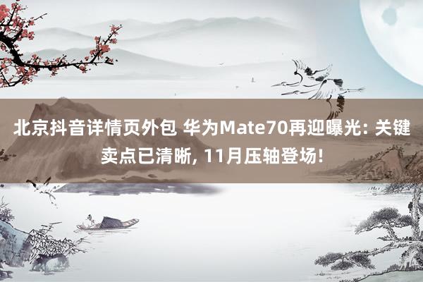 北京抖音详情页外包 华为Mate70再迎曝光: 关键卖点已清晰, 11月压轴登场!