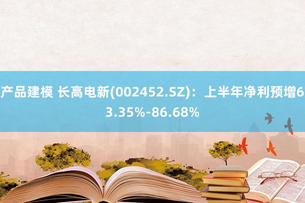 产品建模 长高电新(002452.SZ)：上半年净利预增63.35%-86.68%