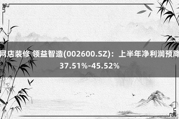 网店装修 领益智造(002600.SZ)：上半年净利润预降37.51%-45.52%