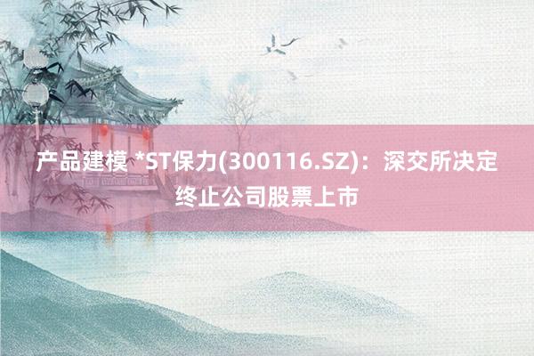 产品建模 *ST保力(300116.SZ)：深交所决定终止公司股票上市