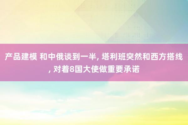 产品建模 和中俄谈到一半, 塔利班突然和西方搭线, 对着8国大使做重要承诺