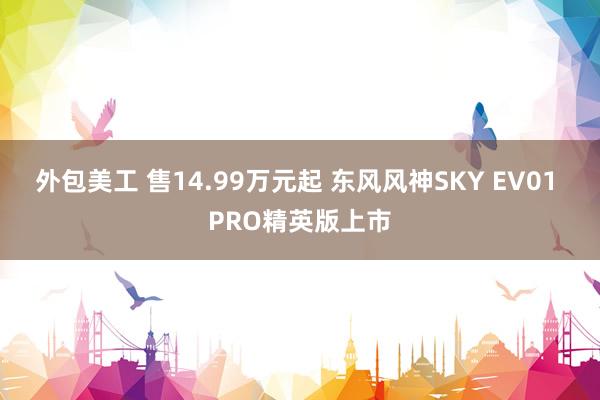 外包美工 售14.99万元起 东风风神SKY EV01 PRO精英版上市